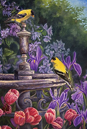 Toland Home Garden Gold Finch Birdbath 125 X 18-inch Decorative Usa-produced Garden Flag