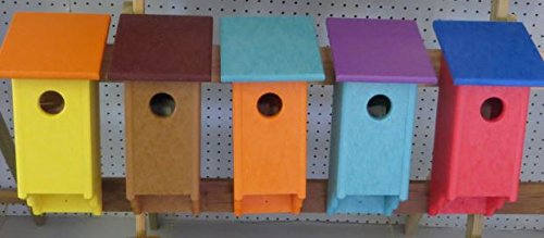 Secret Bird Watcher Birdhouse