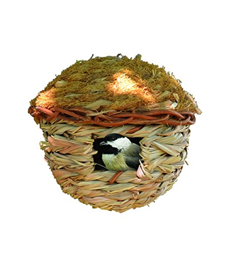 Songbird Essentials Hanging Birdhouse Roosting Pocket Reed Grass And Cedar Roof Winter Bird Refuge