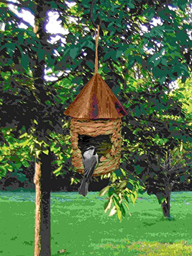 Songbird Essentials Se10345 Small Hanging Grass Twine House With Roof