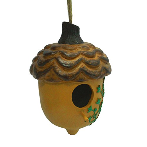 WildBird Care Hanging Acorn Bird House BRH02