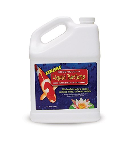 GreenClean Liquid Bacteria - 1 Gallon - Beneficial Bacteria for Koi Ponds and Water Features Safe for Fish Plants Pets and Wildlife
