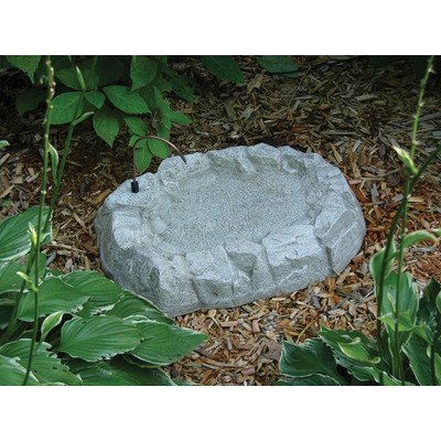 Birds Choice Rocky Mountain Ground Level Bird Bath