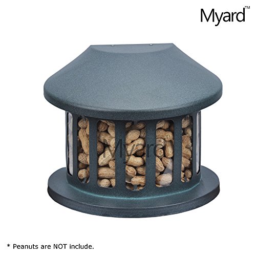 Myard Metal Squirrel Peanut Corn Diner Feeder  MBF 75590 not for bird