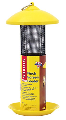 Stokes Select Finch Screen Bird Feeder With Metal Roof Yellow 11 Lb Seed Capacity