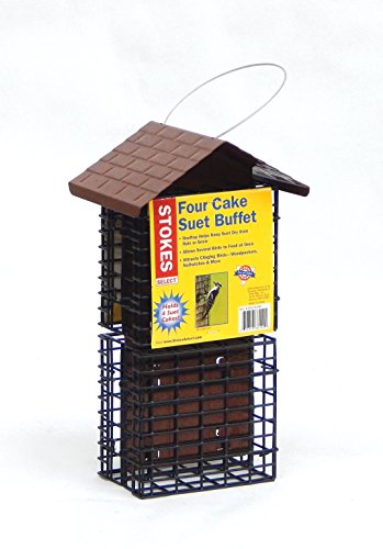Stokes Select Four Cake Suet Buffet Bird Feeder With Metal Roof Four Suet Capacity