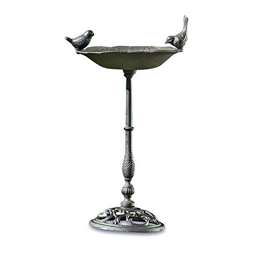WHW Whole House Worlds Iconic Bird Bath or Feeder with Playful Friends Perched on Rim Pedestal Base Garden Decoration Cast Iron 20 Inches Tall