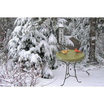 Birds Choice Pedestal Heated Bird Bath