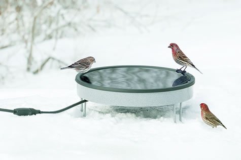 Heated Ground Bath