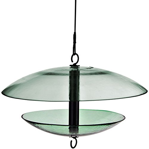 Couronne Company M380-200 32 oz Glass Bird Feeder with Weather Baffle Dome 15 wide Clear