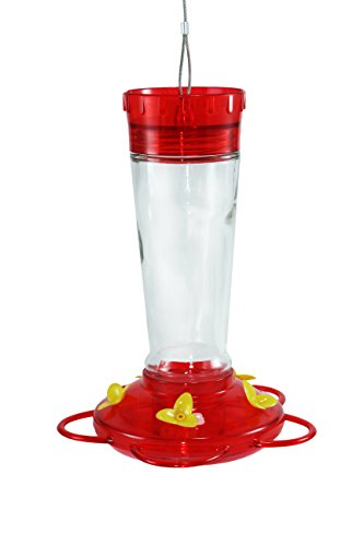 Durable Hanging Bottle Glass Hummingbird Red Feeder Attract More Hummingbirds To Your Houseamp Outdoor Garden Watch