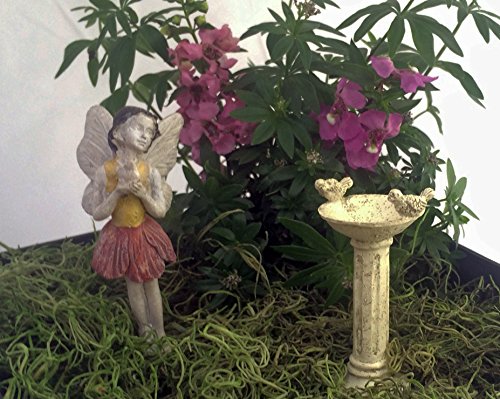 Fairy Garden Set - Fairy Holding A Bird Birdbath And Fairy Garden Design Ideas total 3 Items