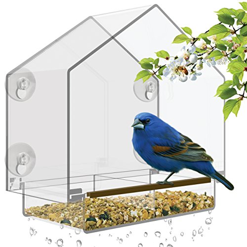 Window Bird Feeder - Large Bird House for Outside Removable Sliding Tray with Drain Holes Best for Wild Birds 100 Clear Acrylic Easy to Clean Great Gift Guaranteed For All Weather