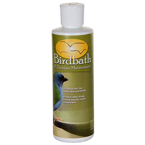 Sanco Bird Bath & Fountain Maintenance, 8 Oz