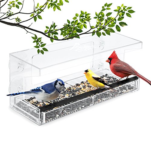 Wild Birds of Joy Window Bird Feeder with 4 Super Strong Suction Cups Sliding Seed Tray Large Clear Acrylic Easy Clean Outdoor Bird Feeders Outside View Up Close of Finch Cardinal and Blue Jay
