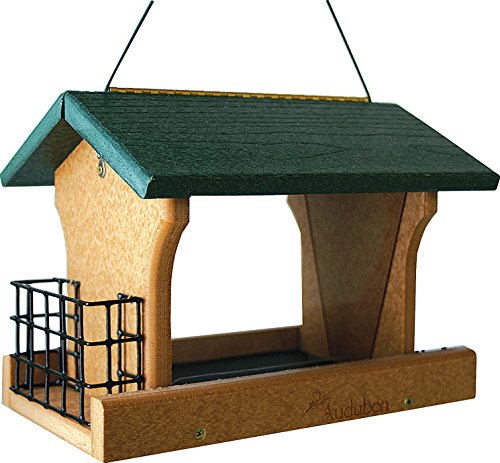 Audubon Going Green Recycled Plastic Ranch Bird Feeder With Suet Holder Model Nagogreen2