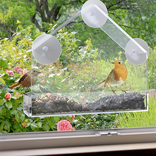 1 Rate Birdhouse - CY Craft Acrylic Window Bird Feeder - Best For Viewing Wild Birds Crystal Clear While Being Eco-Friendly - Enjoy Wild Birds Up Close From Inside Your House FB374