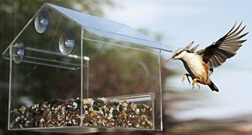 Bird House Feeder Station Window Acrylic Sturdy Clear Suction Cups All Small Large Birds Cardinal Finch By Makexpress