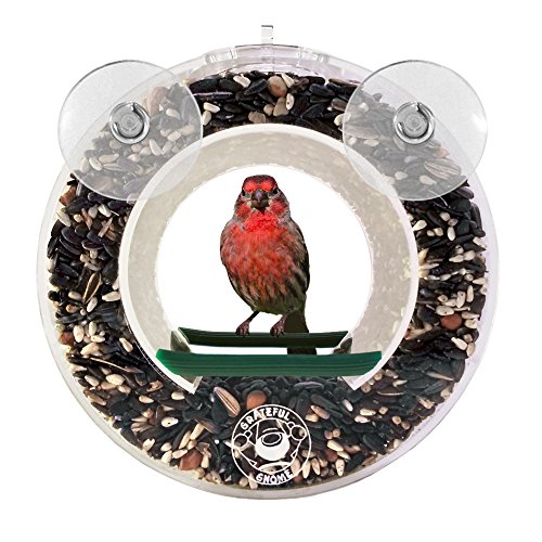 Grateful Gnome - Double Circular Window Bird Feeder - Clear Acrylic House For Small Wild Birds Like Finch And