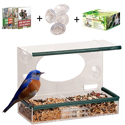 Large Clear Window Bird Feeder - View Birds Close-up From Inside Your House Squirrel Proof Removable Tray Drain