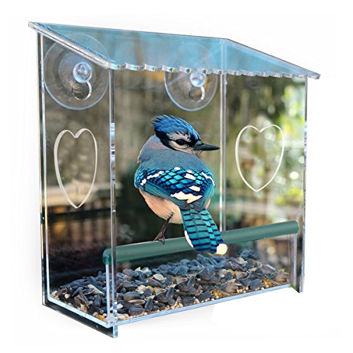 Window Bird Feeder Birdhouse With Strong Suction Cupsmodern Clear Acrylic Heavy Duty Suction Cups Window Door