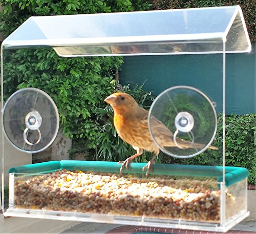 Window Bird Feeder House Premium Crystal Clear Acrylic Powerful Suction Cups Removable Tray Easy Refill Large