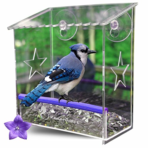 Window Bird Feeder With Strong Suction Cups - Our Acrylic Birdhouse Is Clear And See Through Securely Mounted