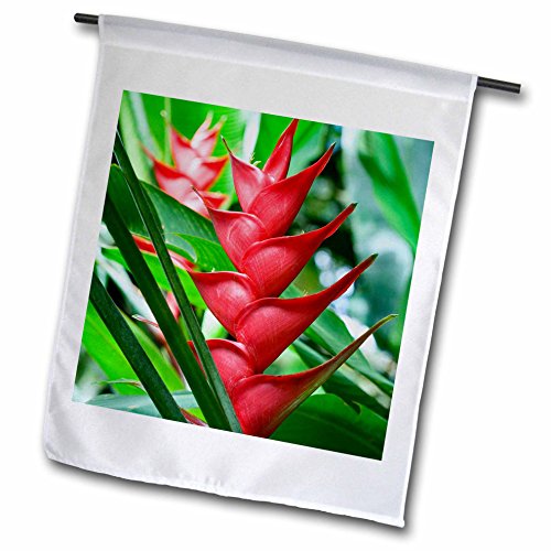 Danita Delimont - Plants - Heliconia Botanical Gardens and Waterfall St Lucia - 18 x 27 inch Garden Flag fl_226591_2