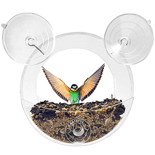 Grateful Gnome - Original Circular Window Bird Feeder - Clear Acrylic House For Small Wild Birds Like Finch And