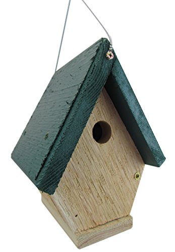 Jcs Wildlife All Cedar Chateau Wren Bird House W Hanging Cable