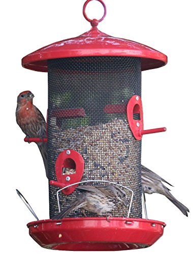 Wild Bird Seed Feeder Outdoor Decorative Garden Metal Hanging Food Dome Mesh House
