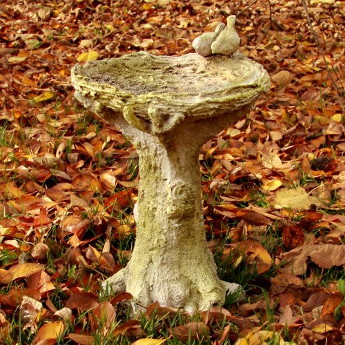 Orlandistatuary Fs8664 Natures Birdbath Sculpture Small White Moss Finish