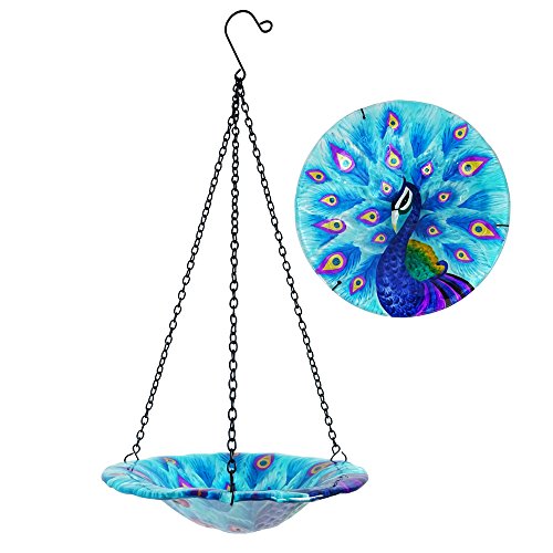 Comfy Hour 8 Glass Tray Metal Art Peacock Plate Hanging Bowl Bird Feeder Birdbath Total Height 17 Including Chain