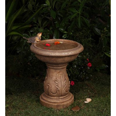 Classical Garden Birdbath