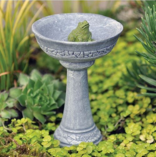 Miniature Fairy Garden Miniature Frog Birdbath