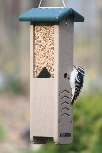 Birds Choice Woodpecker Feeder With Green Roof