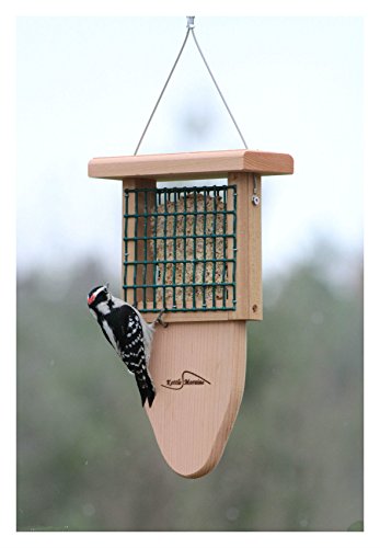 Kettle Moraine Cedar Single Suet Bird Feeder with Woodpecker Tail Prop 8315TP