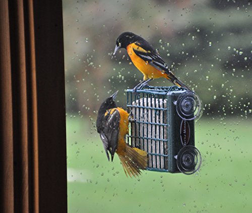Kettle Moraine Window Mount Single Suet Cake Woodpecker Bird Feeder