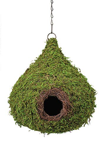 Supermoss 56010 Raindrop Birdhouse With Chain 10 By 13-inch Fresh Green