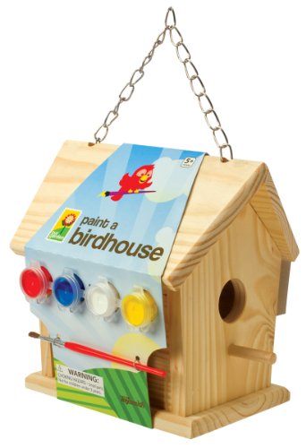 Toysmith Paint-a-birdhouse Kit