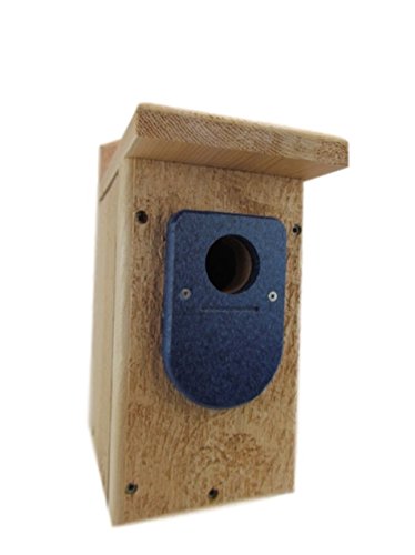 Jcs Wildlife Cedar Standard Bluebird House W Blue Poly Birdhouse Predator Guard