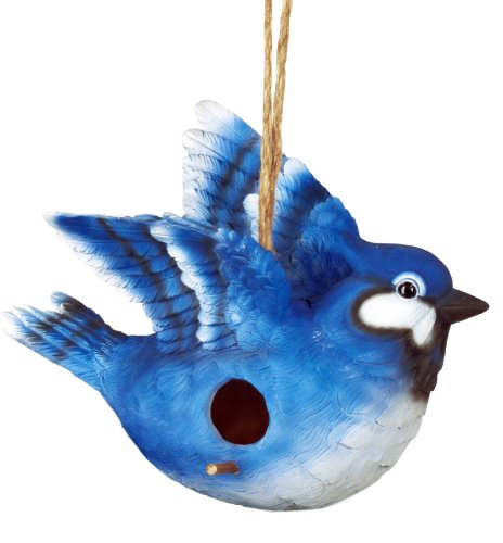 Spoontiques Blue Jay Birdhouse