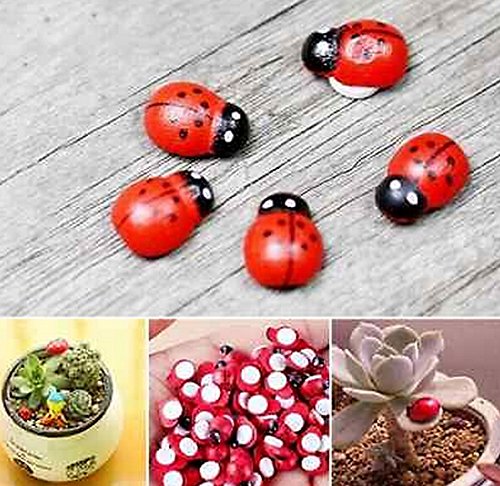 Fd1469 Red Beetle Ladybug Fairy Garden Miniature Ladybird Dollhouse Decor 5pcs