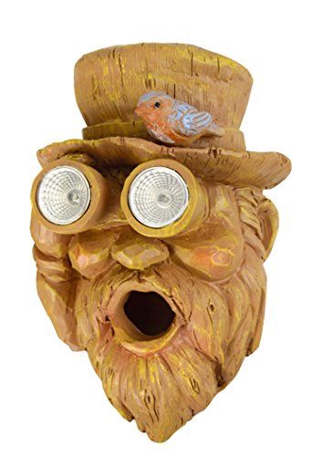 Red Carpet Studios 49042 Birdhouse Solar Tree Face - Birdwatcher