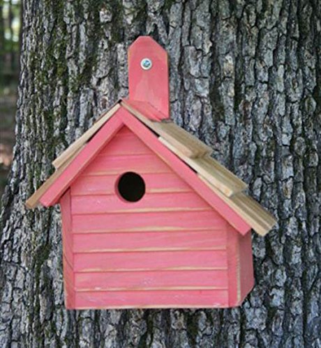 Cape Cod Wren Bird House in Mango Finish