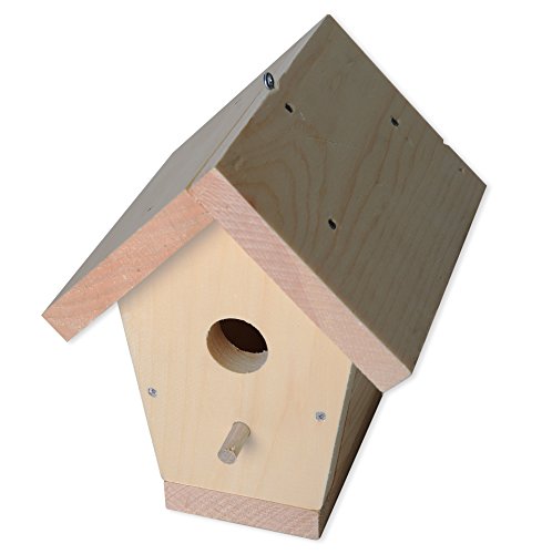 Demis Chunky Wren Bird House