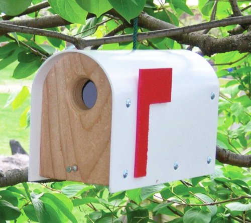 Mail Box Wren Bird House