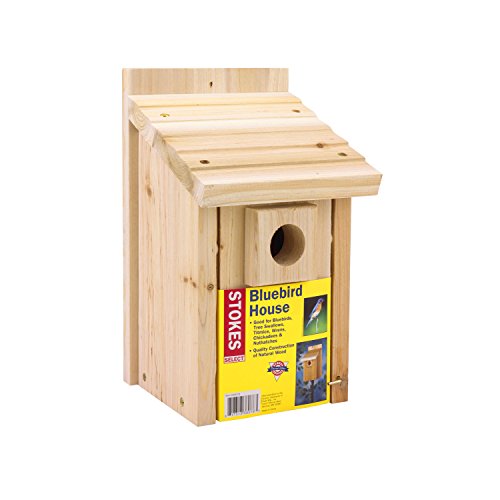 Stokes Select Bluebird Nesting House Natural Wood