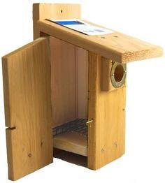 Ultimate Cedar Blue Bird House