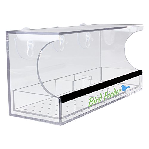 Bird Feeder Aquiver Clear Acrylic With Removable Tray Drain Holes And Water Trough For Watching Birds Close-up